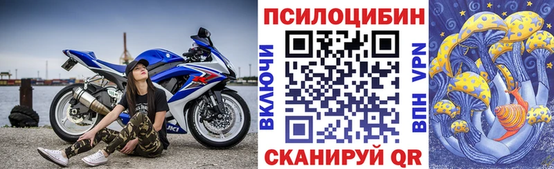 Псилоцибиновые грибы GOLDEN TEACHER  Кяхта 